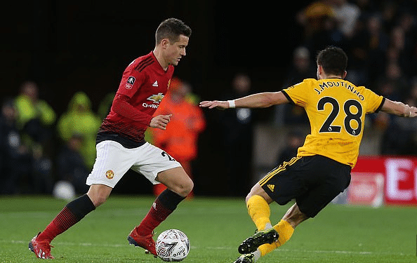 而球迷们的 而球迷们的